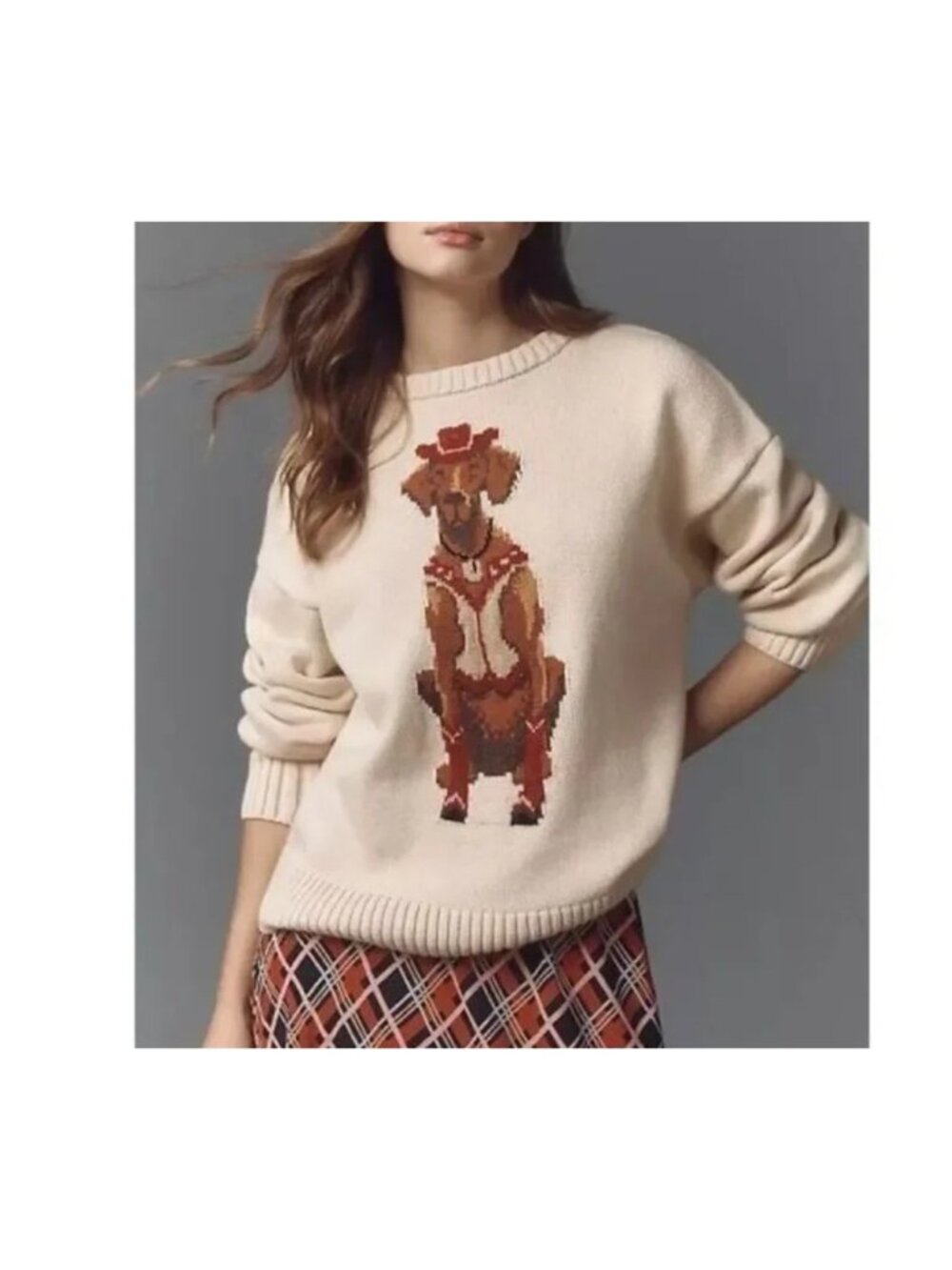 Anthropologie Porridge Jolene Dog Sweater Western Vintage Preppy Chic Womens XL